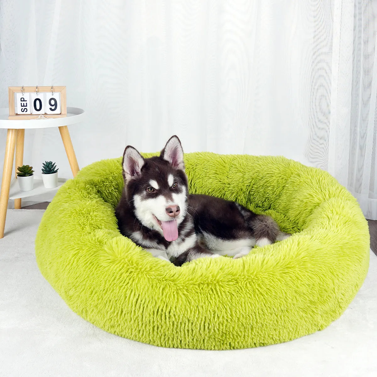 Doughnut Dog Bed